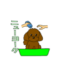 トイプーは天才（個別スタンプ：16）