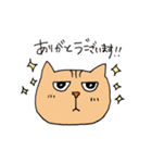 Wild cat JYAIKO（個別スタンプ：1）