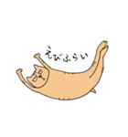 Wild cat JYAIKO（個別スタンプ：3）