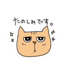 Wild cat JYAIKO（個別スタンプ：16）