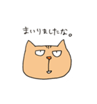 Wild cat JYAIKO（個別スタンプ：23）