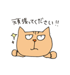 Wild cat JYAIKO（個別スタンプ：34）