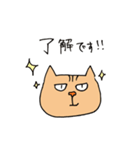 Wild cat JYAIKO（個別スタンプ：40）