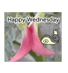 Happy every day by Nadee Creator（個別スタンプ：4）