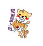 Shiba X Shiba（個別スタンプ：4）