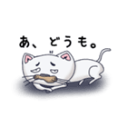 ネコの小太郎（個別スタンプ：1）