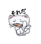 ネコの小太郎（個別スタンプ：9）