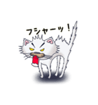 ネコの小太郎（個別スタンプ：18）