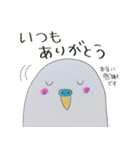 いつもインコたちと一緒に（個別スタンプ：16）