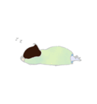Shy ＆ Gi（個別スタンプ：10）