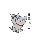 MIX猫 グレー【ねこのきもち】（個別スタンプ：8）
