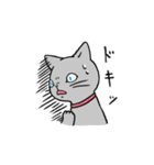 MIX猫 グレー【ねこのきもち】（個別スタンプ：32）
