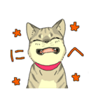 MIX猫 キジトラ【ねこのきもち】（個別スタンプ：2）