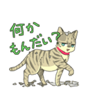 MIX猫 キジトラ【ねこのきもち】（個別スタンプ：4）