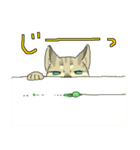 MIX猫 キジトラ【ねこのきもち】（個別スタンプ：12）