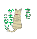 MIX猫 キジトラ【ねこのきもち】（個別スタンプ：14）