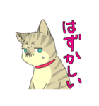 MIX猫 キジトラ【ねこのきもち】（個別スタンプ：21）