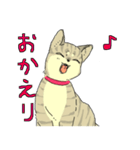 MIX猫 キジトラ【ねこのきもち】（個別スタンプ：22）