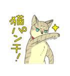 MIX猫 キジトラ【ねこのきもち】（個別スタンプ：27）