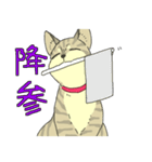 MIX猫 キジトラ【ねこのきもち】（個別スタンプ：31）