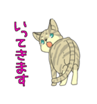 MIX猫 キジトラ【ねこのきもち】（個別スタンプ：34）