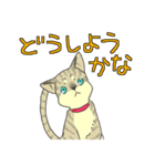 MIX猫 キジトラ【ねこのきもち】（個別スタンプ：38）