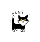 MIX猫 黒×白【ねこのきもち】（個別スタンプ：1）