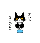 MIX猫 黒×白【ねこのきもち】（個別スタンプ：3）