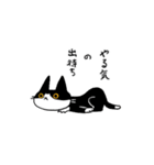 MIX猫 黒×白【ねこのきもち】（個別スタンプ：8）