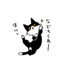 MIX猫 黒×白【ねこのきもち】（個別スタンプ：13）