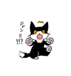 MIX猫 黒×白【ねこのきもち】（個別スタンプ：17）
