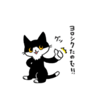 MIX猫 黒×白【ねこのきもち】（個別スタンプ：20）