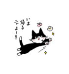 MIX猫 黒×白【ねこのきもち】（個別スタンプ：28）