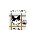 MIX猫 黒×白【ねこのきもち】（個別スタンプ：31）