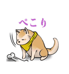 極端忍者スタンプ（個別スタンプ：2）