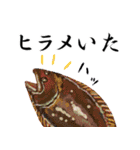 魚介生活（個別スタンプ：11）