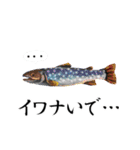 魚介生活（個別スタンプ：21）