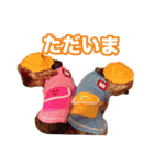ヨーキー＆トイプードル（個別スタンプ：7）