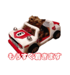 ヨーキー＆トイプードル（個別スタンプ：13）