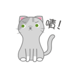 Small gray cat（個別スタンプ：1）