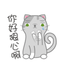 Small gray cat（個別スタンプ：2）