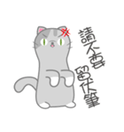 Small gray cat（個別スタンプ：12）