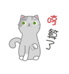 Small gray cat（個別スタンプ：20）