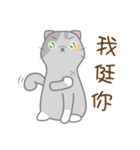 Small gray cat（個別スタンプ：24）