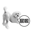 A-fu（個別スタンプ：5）