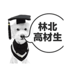 A-fu（個別スタンプ：7）