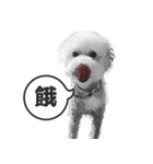 A-fu（個別スタンプ：10）