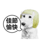A-fu（個別スタンプ：11）