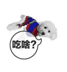 A-fu（個別スタンプ：14）