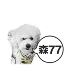 A-fu（個別スタンプ：15）